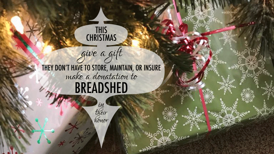 give a gift to Breadshed this Christmas